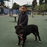 Edward Cortes - @pasadena_puppies - Instagram