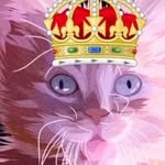 Андрей novicki - @edward_costello2020 - Instagram
