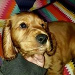 Edward Cotter - @cotteredward - Instagram