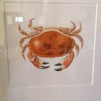 Edward Crabb - Facebook