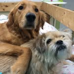Edward craddock - @craddock.edward - Instagram