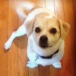 Otis Edward Craddock I - @its_otis_losers_ - Instagram