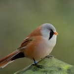 Edward cripps - @edward_photography___ - Instagram