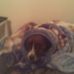 Edward Crutchley - Facebook
