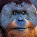 Edward Cromey - Facebook