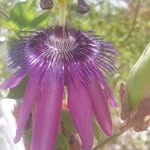 Edward Crouse - @crouse8411 - Instagram