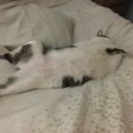 Edward Lockcuff - @edwardlockcuff - Instagram