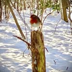 Edward Cuffe - Facebook