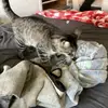 carteredward2 - @mickey.edwards6 - TikTok