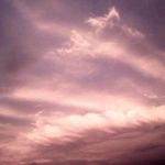 Edward Cupp - @cuppedward - Instagram