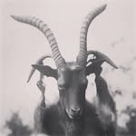 Gabriel Currie - @gabriel_edward_currie - Instagram