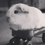 Cutter Edwards - @cutteredwards1 - Instagram