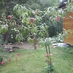 Edward Dabkowski - Facebook