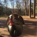 Edward Dabrowski - @edward.dabrowski.121 - Instagram