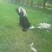 Eddie Dach - Facebook