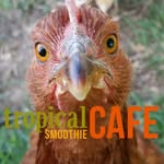 @edwarddachicken - Instagram