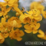 Edward and Daily Photos - @edward.dailyphotos - Instagram