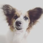 @edwarddaily - Instagram