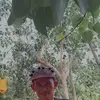 edwarddargantes - @edwarddargantes - TikTok