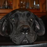 Darwin Edward - @darwin.edward.39 - Instagram