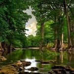 Edward Desmond - @edward.desmond.52 - Instagram