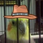Edward Desmond - @edward.desmond.16 - Instagram