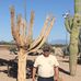 Ed Dietz - Facebook