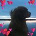 Edward Dillingham - Facebook