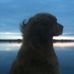 Edward Dillingham - Facebook