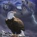 Edward Dingle - Facebook