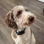 Charlie Edward Dockery❤️ - @charlie.dockery_ - Instagram