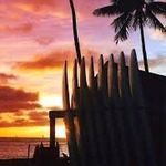 Edward Dodd - @edwarddodd3 - Instagram