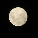 @edward_does_photography - Instagram