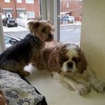 Edward Doherty - @edward.doherty.96995238 - Instagram