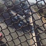 Edward Doherty - @edward.doherty - Instagram