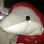 Edward Dolphinman - @edwarddolphinman - Instagram
