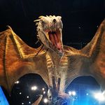 Edward Donaldson - @donaldson4586 - Instagram