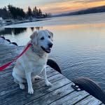 Edward Dooling - @edwarddooling - Instagram