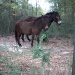 Edward Dortch - Facebook