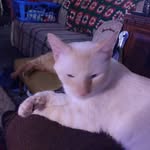 Michael Edward Draper Sr. - @james.alexander54 - Instagram