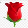 edwarddrew - @aesthetics._super - TikTok
