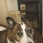 Edward Driscoll - @edwarddriscoll - Instagram