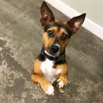 Edward P. Roughnstuff - @edwardproughnstuff - Instagram