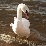 Edward Dubicki - @edwarddubicki - Instagram