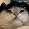 Marcin Psikuta - @edwardbabicki - TikTok