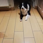 Peter Edwards - @edwardsdublin - Instagram