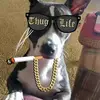 Bryce Edward Dubois - @user680552904 - TikTok