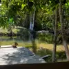 Edward_Duda - @www_duda.ops - TikTok