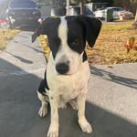 Edward Dumont - @python0001 - Instagram