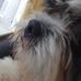 Edward Duncombe - Facebook